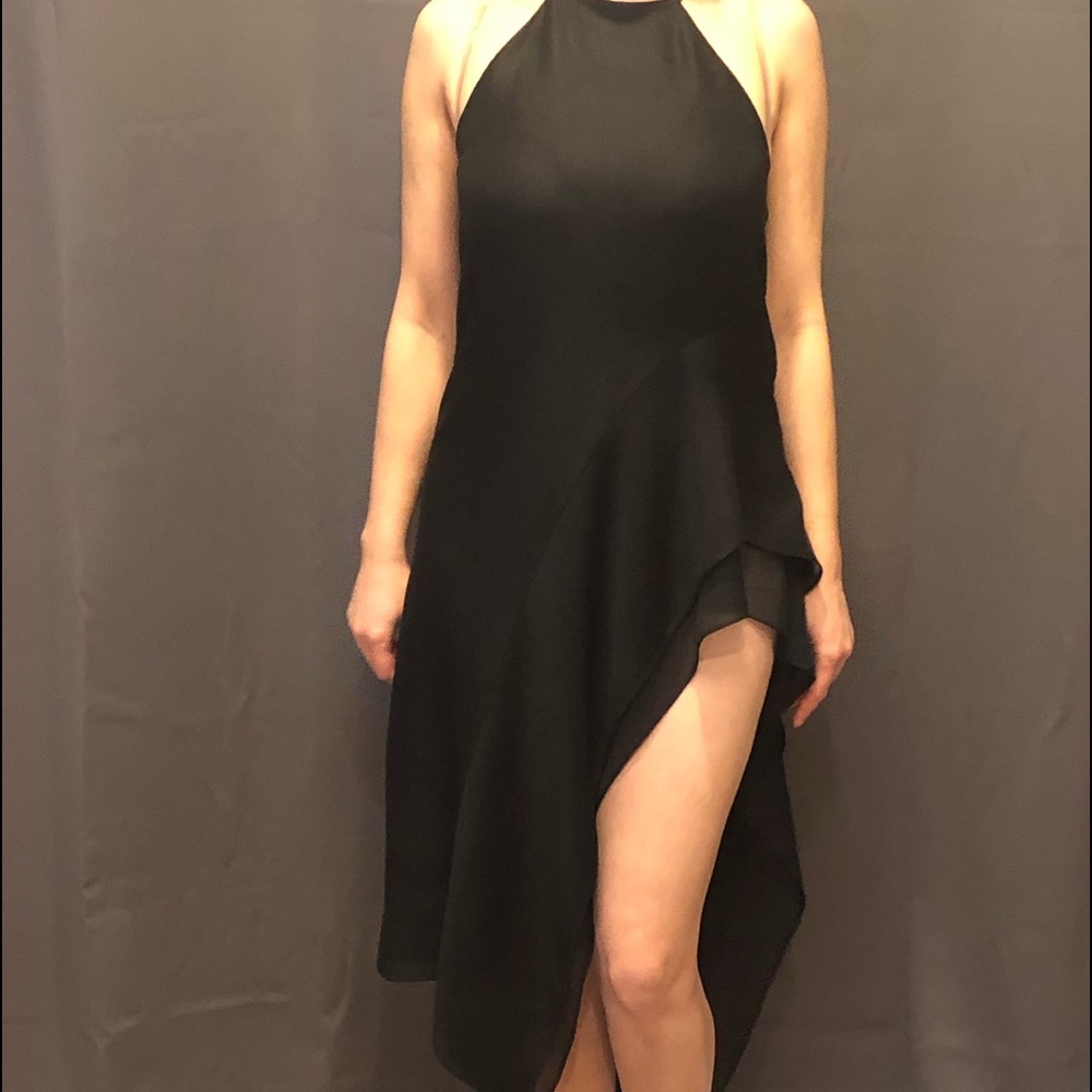 Halston Heritage Designer Dress